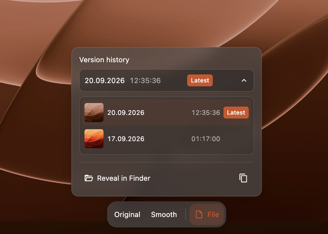 File version history showing the latest revision and an earlier version.