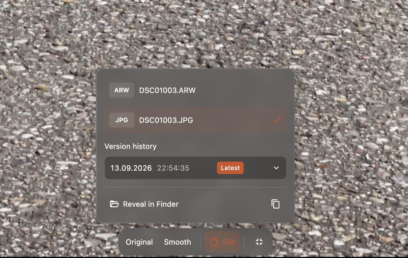 A file block containing RAW and JPEG representations with a version history selector.